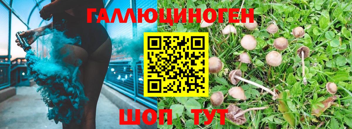 Юрга  Псилоцибиновые грибы MAGIC MUSHROOMS  Вход с VPN  Галлюциногенные грибы мицелий 